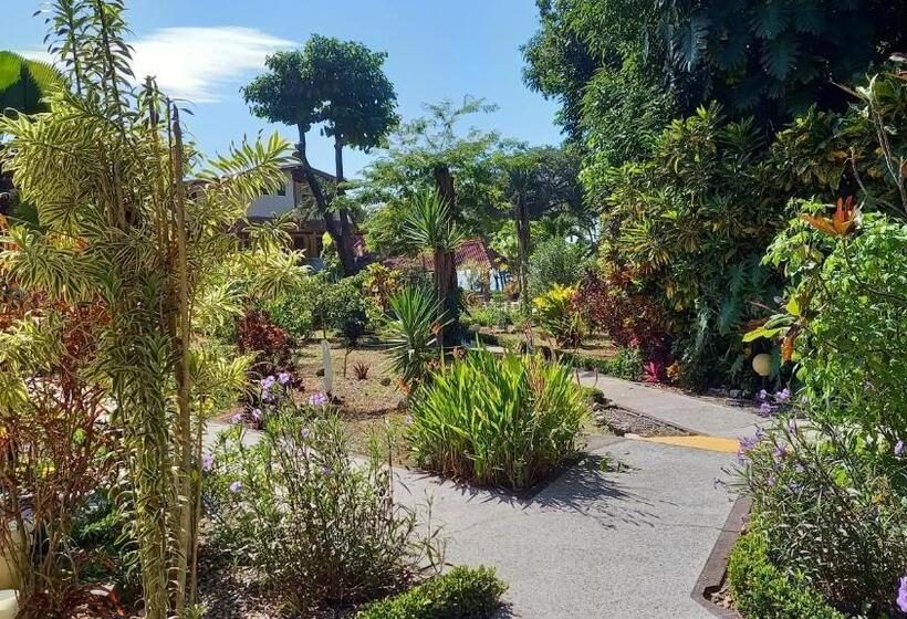 스탠다드 룸, Las Brisas Del Pacifico