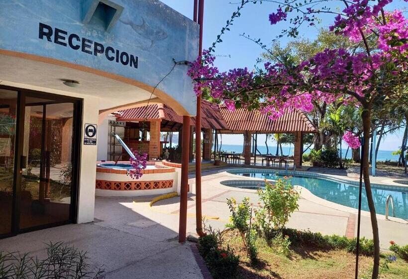 스탠다드 테라스 룸, Las Brisas Del Pacifico