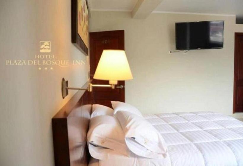 스탠다드 룸 킹사이즈 침대, Plaza Del Bosque Inn