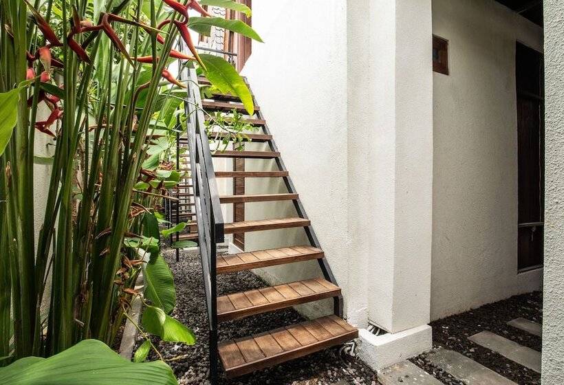 Номер Deluxe, Dadeka Canggu