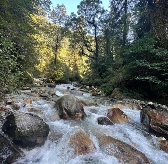 샬레, The Great Escape   A Jibhi Paradise