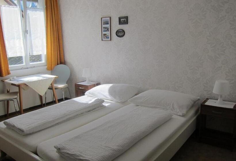 Номер Стандарт Совместная Ванная, Pension Sonne Bed & Breakfast