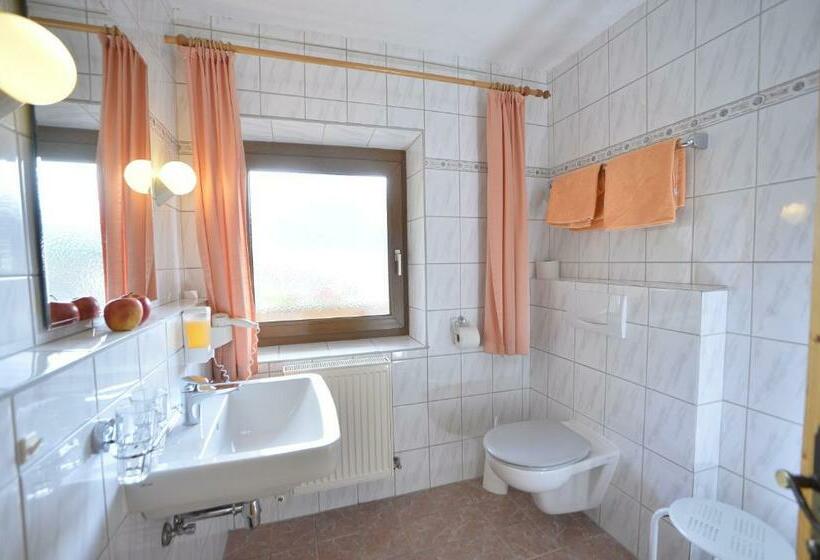Студио Стандарт с Балконом, Pension Und Apartments Landhaus Marie