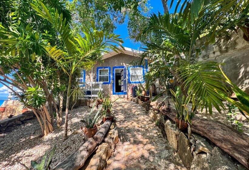 ویلای 1 خوابه, Unforgettable Villa