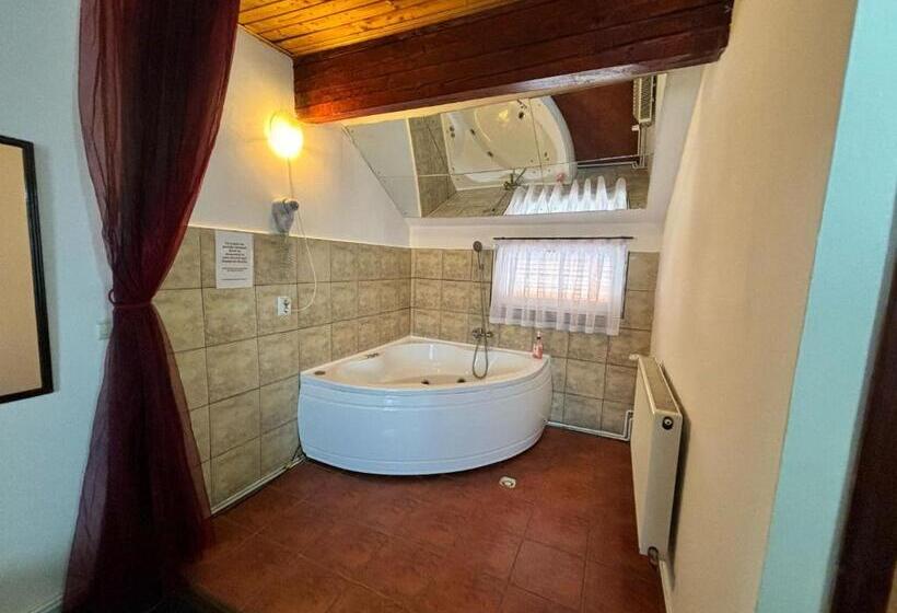 デラックスルーム, Bucharest West Motel