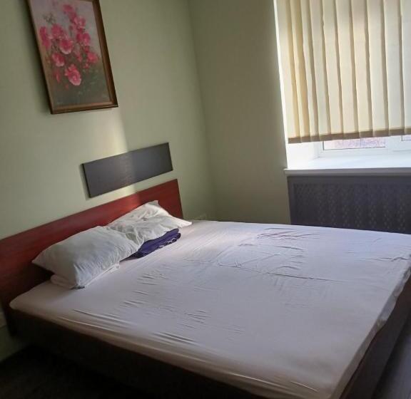 اتاق اکونومی, Hostel Krone Gok Zatishok
