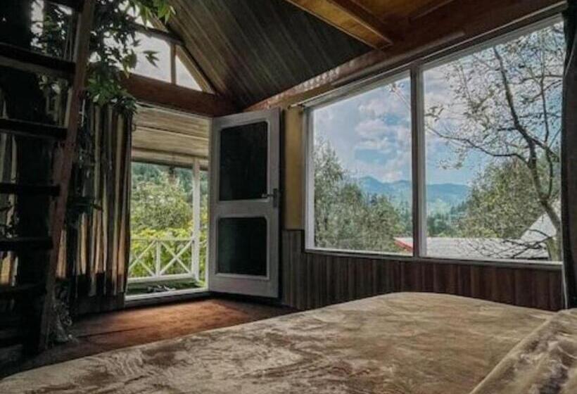 Номер Deluxe, Thetreehousejibhi
