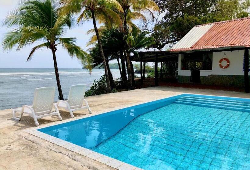 풀장 전망 스위트, Oceanfront Bungalows   Paradise Rentals