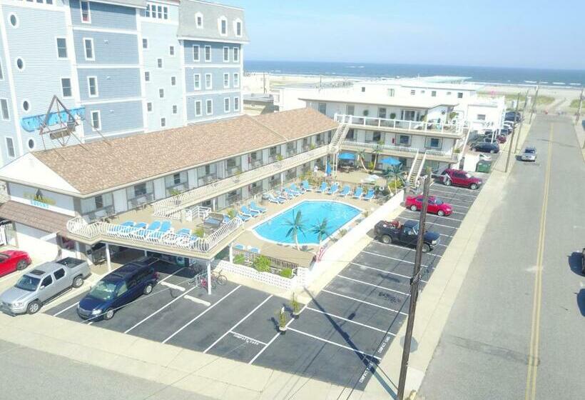 Номер Стандарт, Pyramid Resort Motel