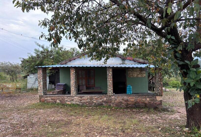 Номер Deluxe, Ivory Daze Jungle Adventure Homestay