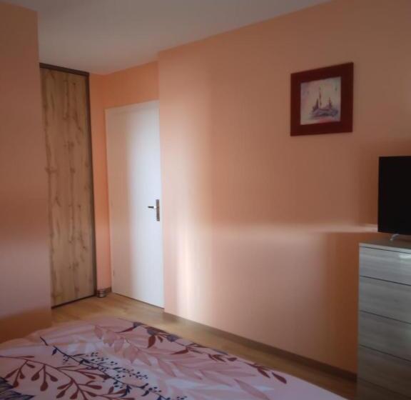 Номер Стандарт, Chez Nelly