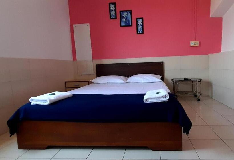 Номер Deluxe, Parvati Palace