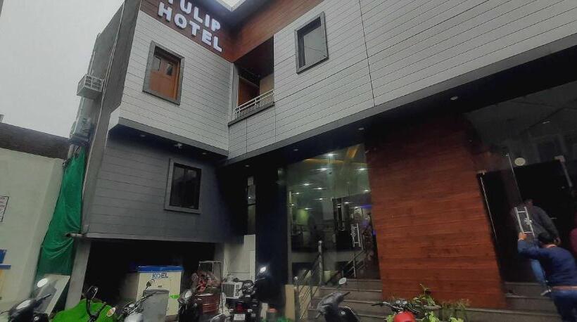 豪华三人间, Oyo Hotel Tulip Inn