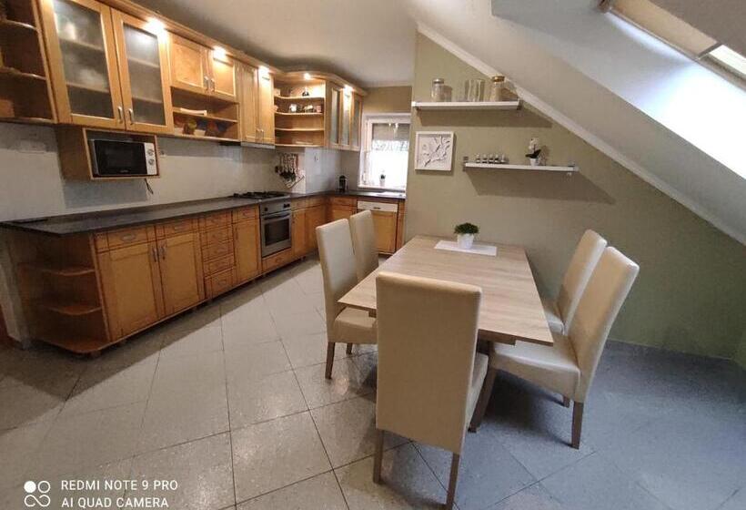 דירת חדר עם טרסה, Felhő Apartman