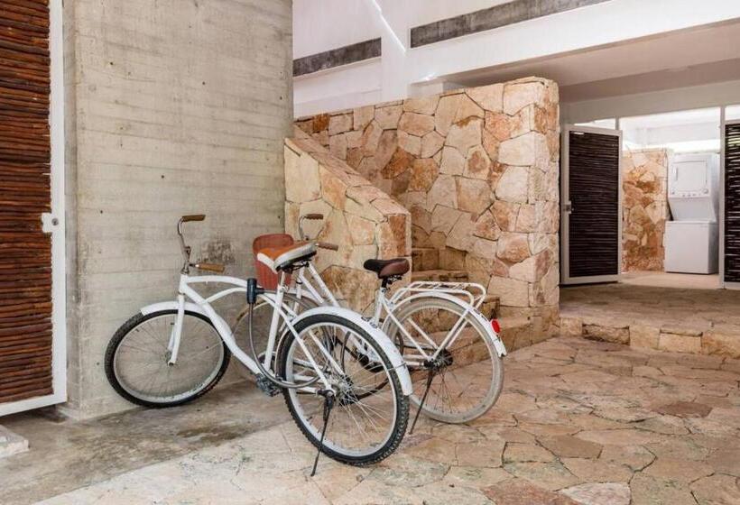 １階の１ベッドルームアパートメント, Casa De Piedra Tulum