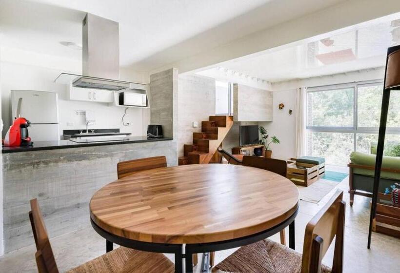 庭の見える１ベッドルームアパートメント, Casa De Piedra Tulum