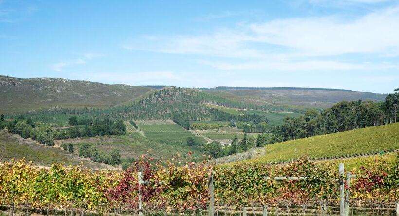 Шале Superior 1 Спальня, South Hill