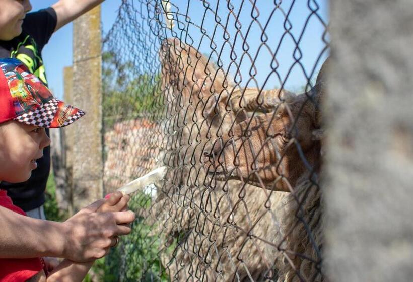 Апартаменты 1 Спальня Вид на Сад, Tölgyfa Vendégház