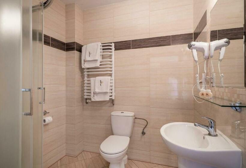 Номер Стандарт, łabędź Hotel Karczma
