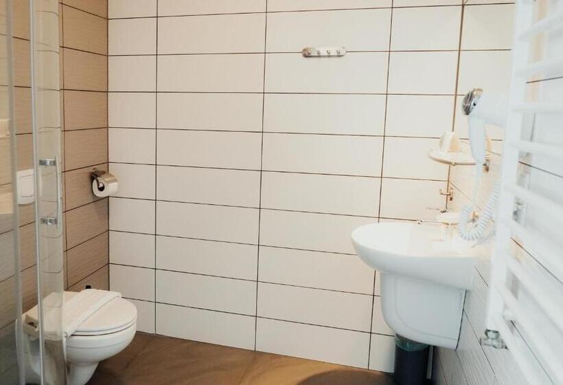 Номер Стандарт, Pałac Krotoszyce Basen&spa