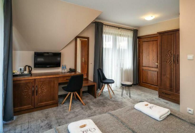 スタンダードルーム, Pensjonat Orlik Mountain Resort&spa