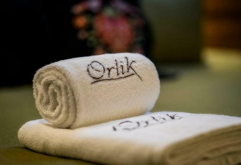 スタンダードルーム, Pensjonat Orlik Mountain Resort&spa