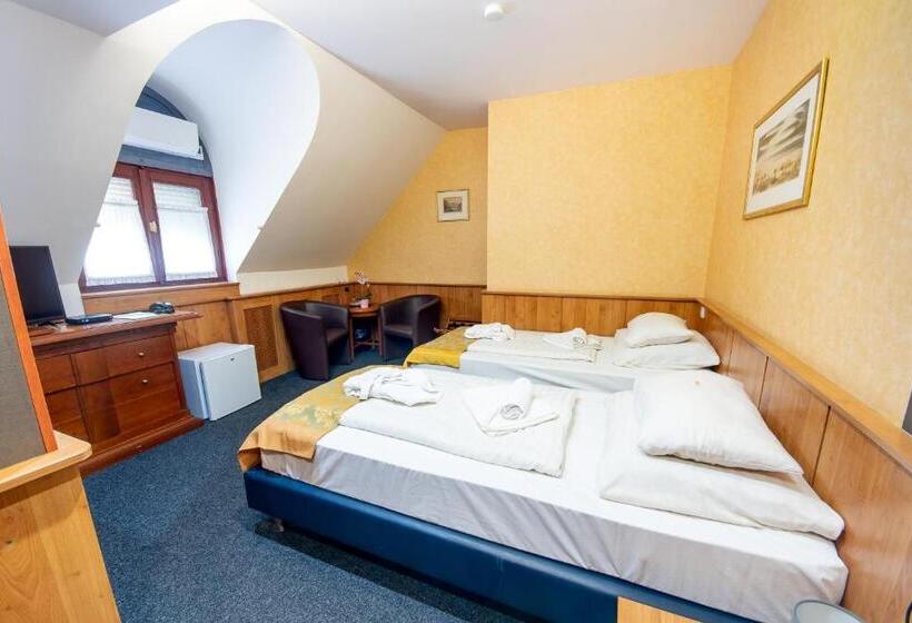 标准间, Nyerges Hotel Termál Superior