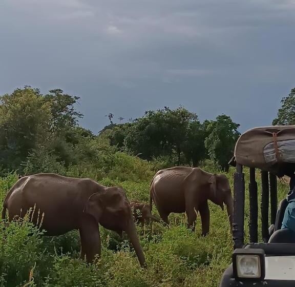 Семейный Номер Deluxe, Pam Land Eco Safari Resort