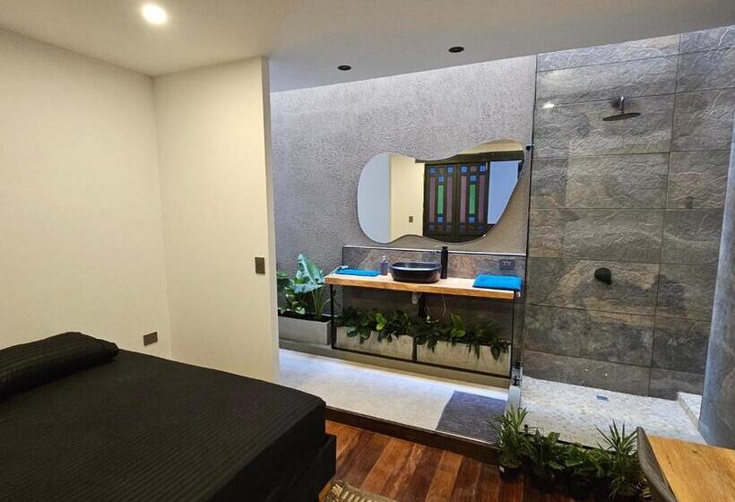 اتاق لوکس, Casa Alba