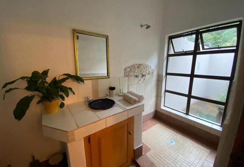 Классический Номер, Ambience Inn