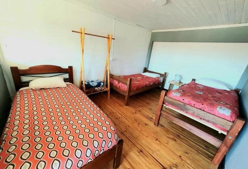 Кровать в Общей Комнате, Löf Hostal