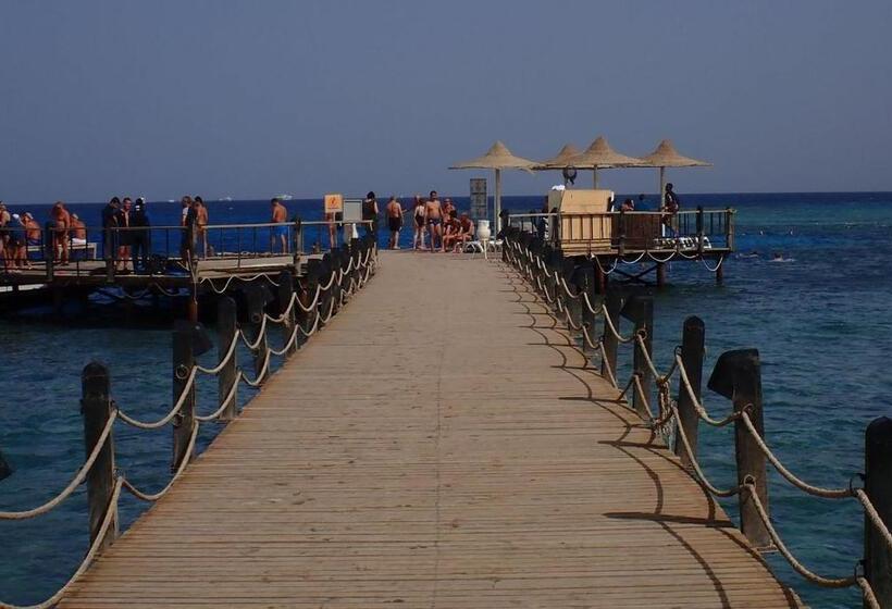 استودیو استاندارد با چشم‌انداز استخر, Sahl Hashesh Makadi  Hurghada