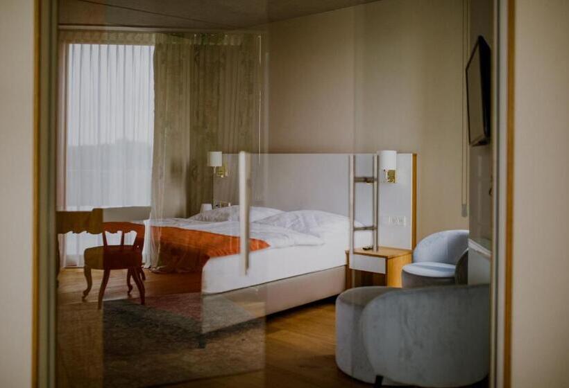 Апартаменты Пентхаус 1 Спальня, Pałac Pakoszów Schlosshotel Wernersdorf