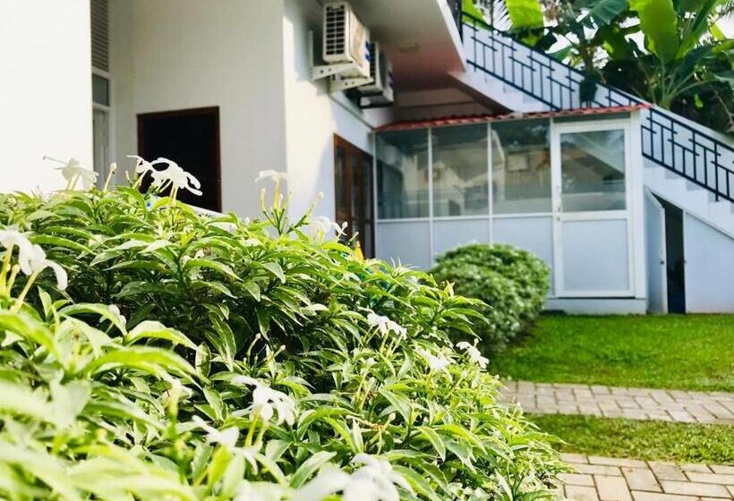 Номер Стандарт с Балконом, Dream Paradise   Weligama