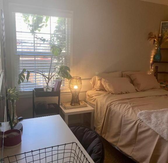 Номер Стандарт, Livs B&b