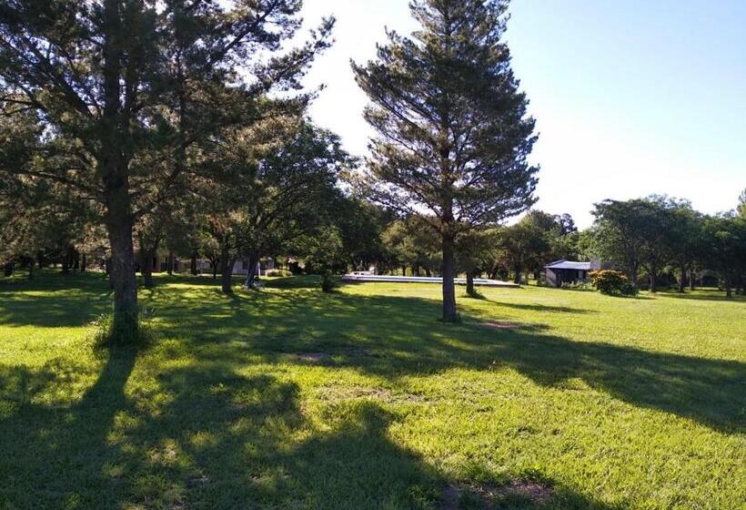 Апартаменты 1 Спальня с Видом, El Campo Departamentos