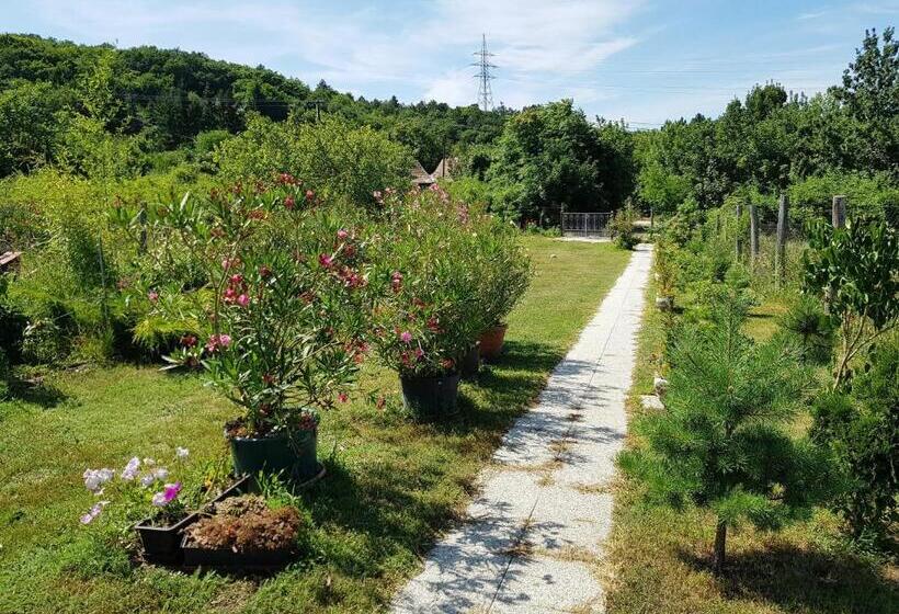 آپارتمان 1 خوابه, Kincsesbánya