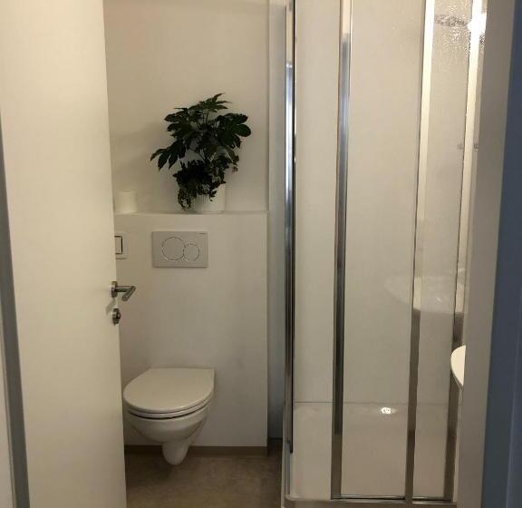 Апартаменты 1 Спальня, Egerbach Appartements