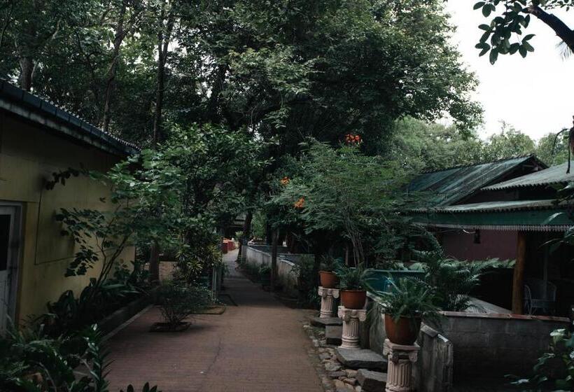 اتاق لوکس سه تخته, Udawalawa Safari Village