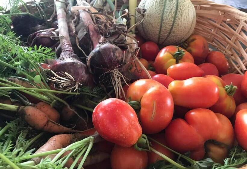 Дом 1 Спальня, Tenuta Le Mandorlaie, Agriturismo In Scansano