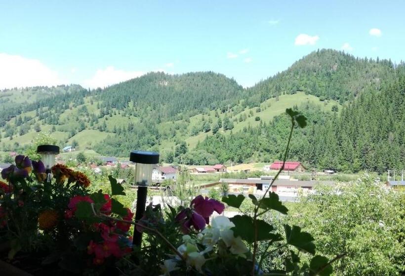 Номер Стандарт, Flori De Bucovina