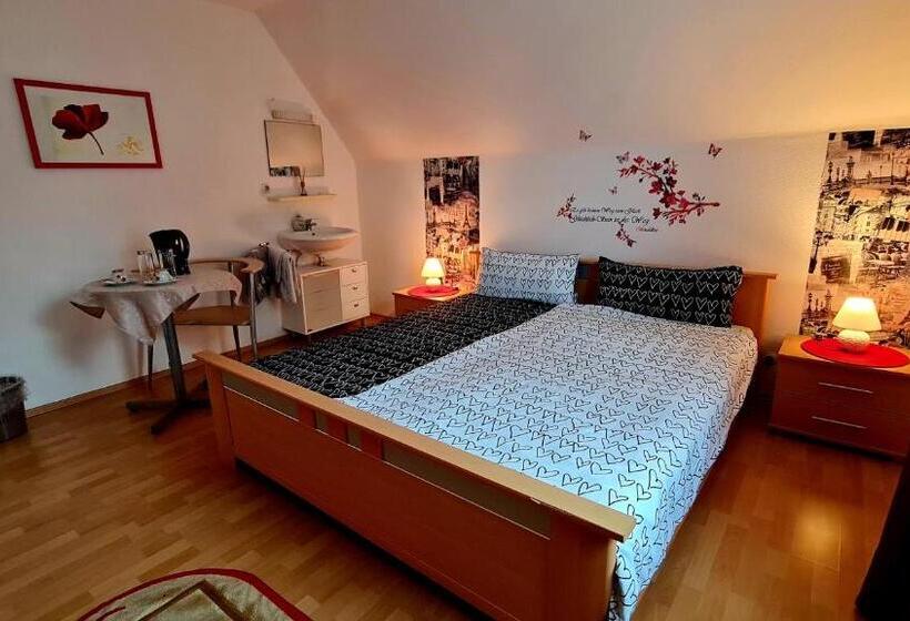 Номер Стандарт, Pension Transilvania
