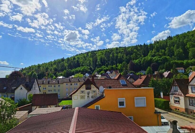 غرفة عائلية مطلّة علي الجبل, Pension Transilvania