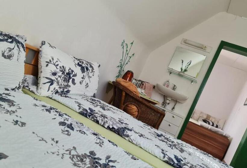 غرفة عائلية مطلّة علي الجبل, Pension Transilvania