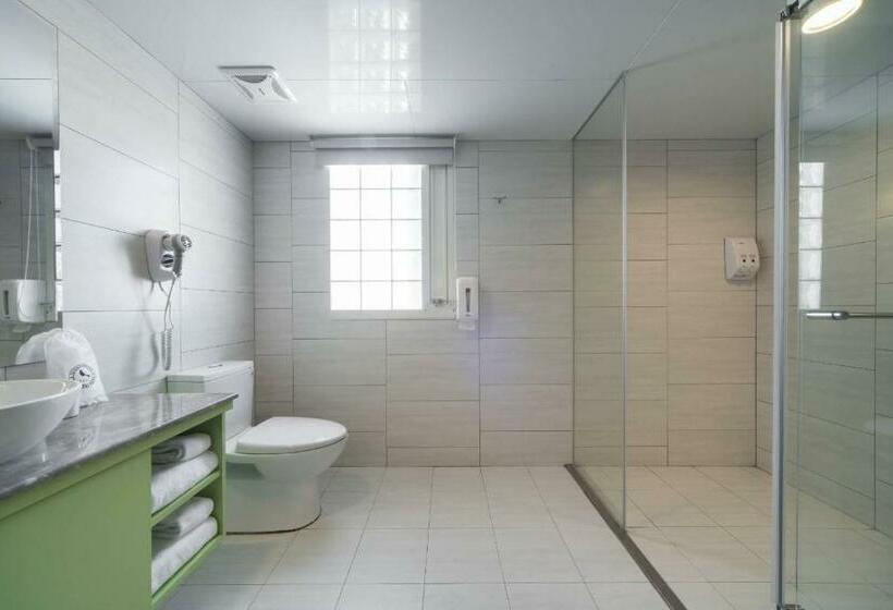 اتاق استاندارد, Xinshe Hotel   Hsinchu