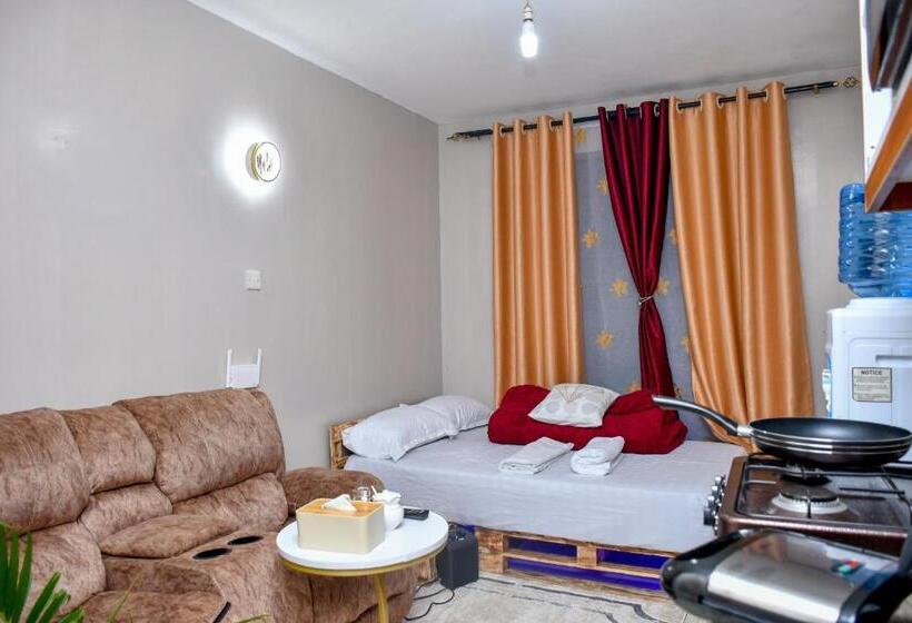 اتاق اکونومی, Jojovial Homes