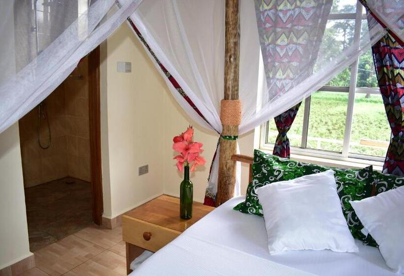 Номер Стандарт, Kilimanjaro Accommodation