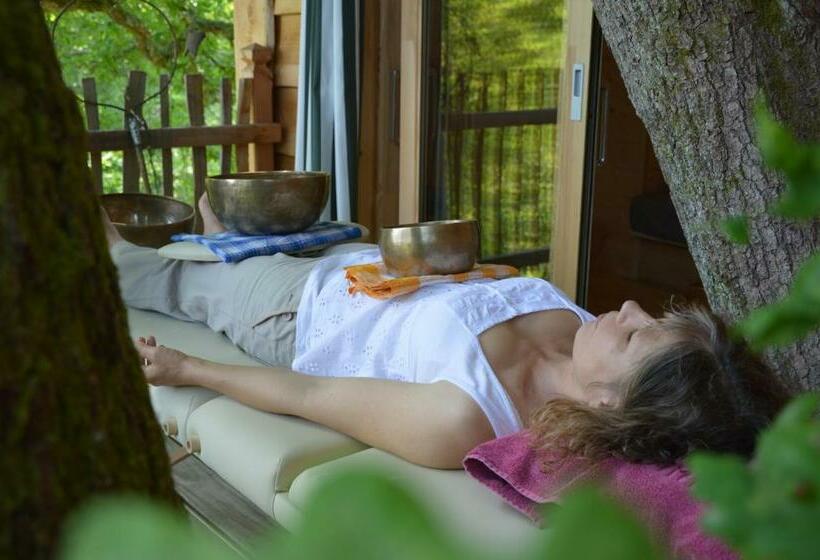 Номер Стандарт, La Cabane Du Vieux Chêne
