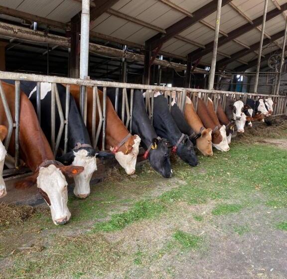 스탠다드 룸, Herberg Boerderij De Straat Hof