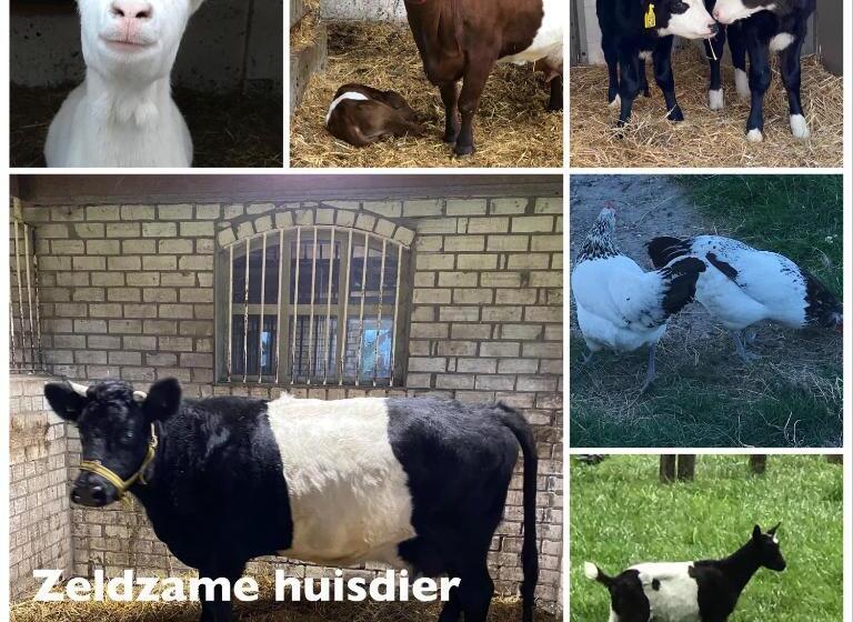 침실 1개 테라스 아파트, Herberg Boerderij De Straat Hof